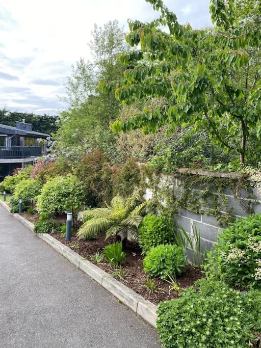 Beautiful Garden With Private Patio And Garden View * Dublin