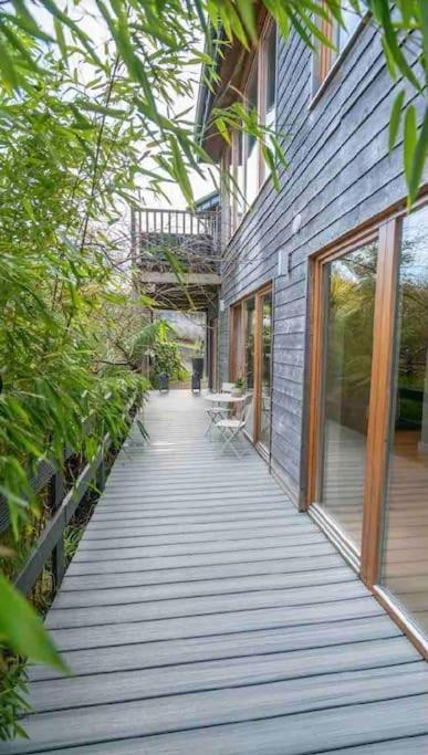 Beautiful Garden With Private Patio And Garden View
